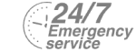 24/7 Emergency Service Pest Control in Hoddesdon, EN11. Call Now! 020 8166 9746