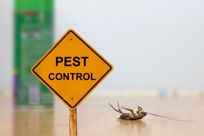 Pest Contol in Hoddesdon, EN11. Call Now 020 8166 9746